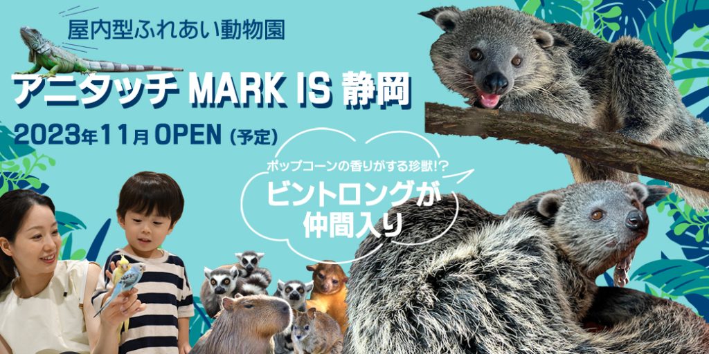MARK IS 静岡」2023.11月オープン | 【公式】アニタッチ みなとみらい
